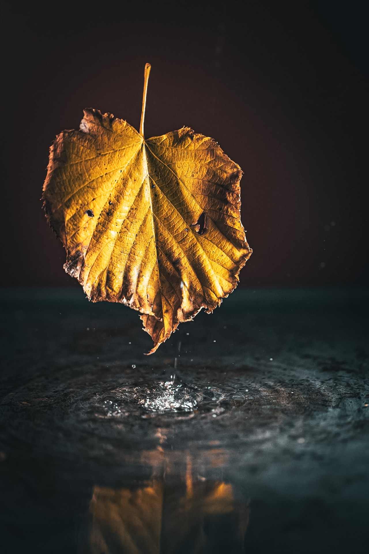 Foglia dorata sospesa sull'acqua mentre cade una goccia