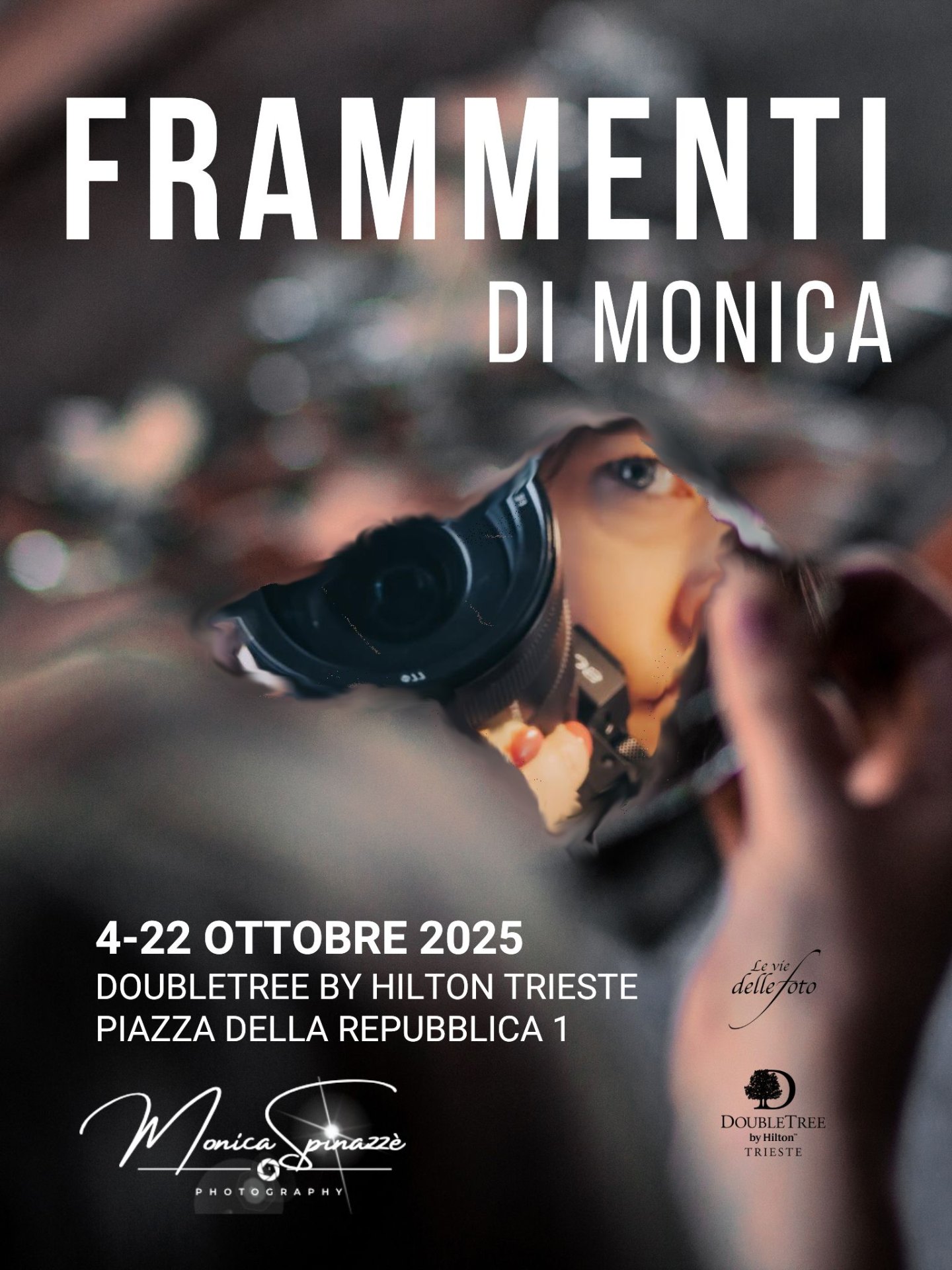Frammenti di Monica — locandina